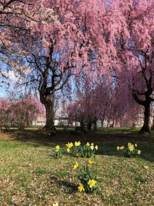 前九年公園2